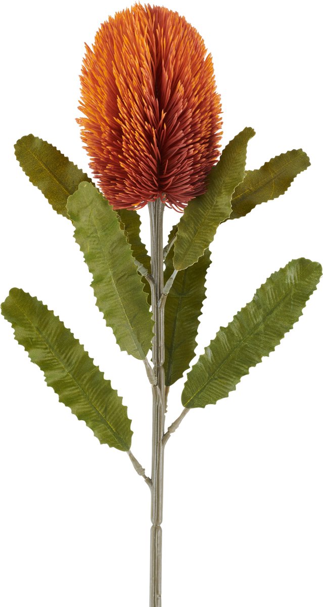 Easyplants | Kunstbloem Banksia 65 cm oud oranje | Zijde | Nepbloemen | oranje | Onderhoudsvrij | Kant-en-klaar