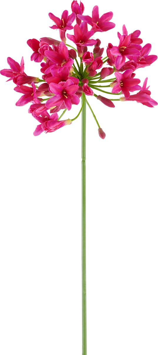 Easyplants | Kunstbloem Agapanthus 75 fuchsia | Zijde | Nepbloemen | fuchsia | Onderhoudsvrij | Kant-en-klaar