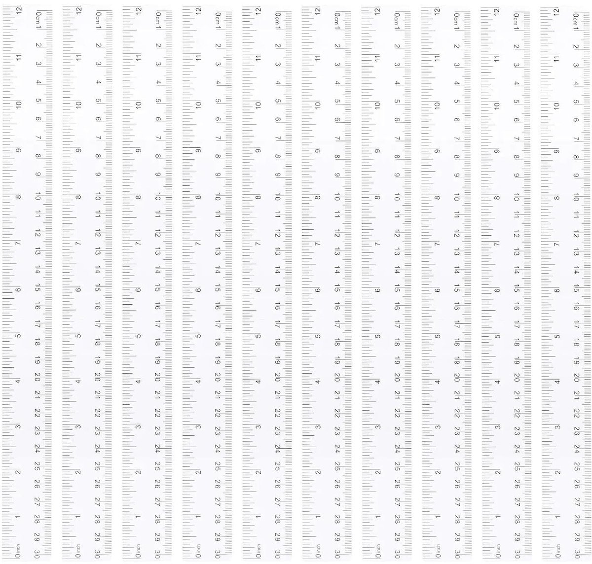 Transparante Liniaal 30 cm - Set van 10 Stuks - Rechte Plastic Linialen met Metrische en Inch Schaal voor Thuis, Kantoor en Basisonderwijs