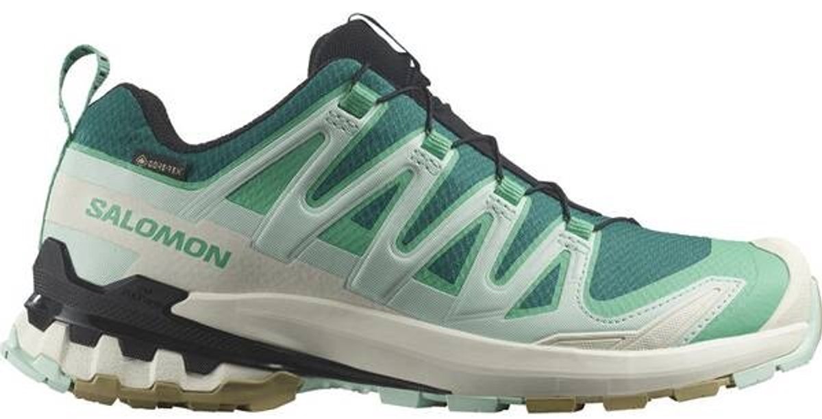 SALOMON - Shoes XA PRO 3D V9 GTX W - 4.5 - Lake/Electg/Van