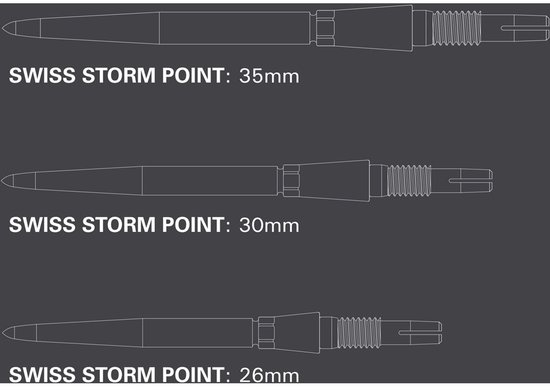 Target Swiss Points Storm Silver van Target — afbeelding 4