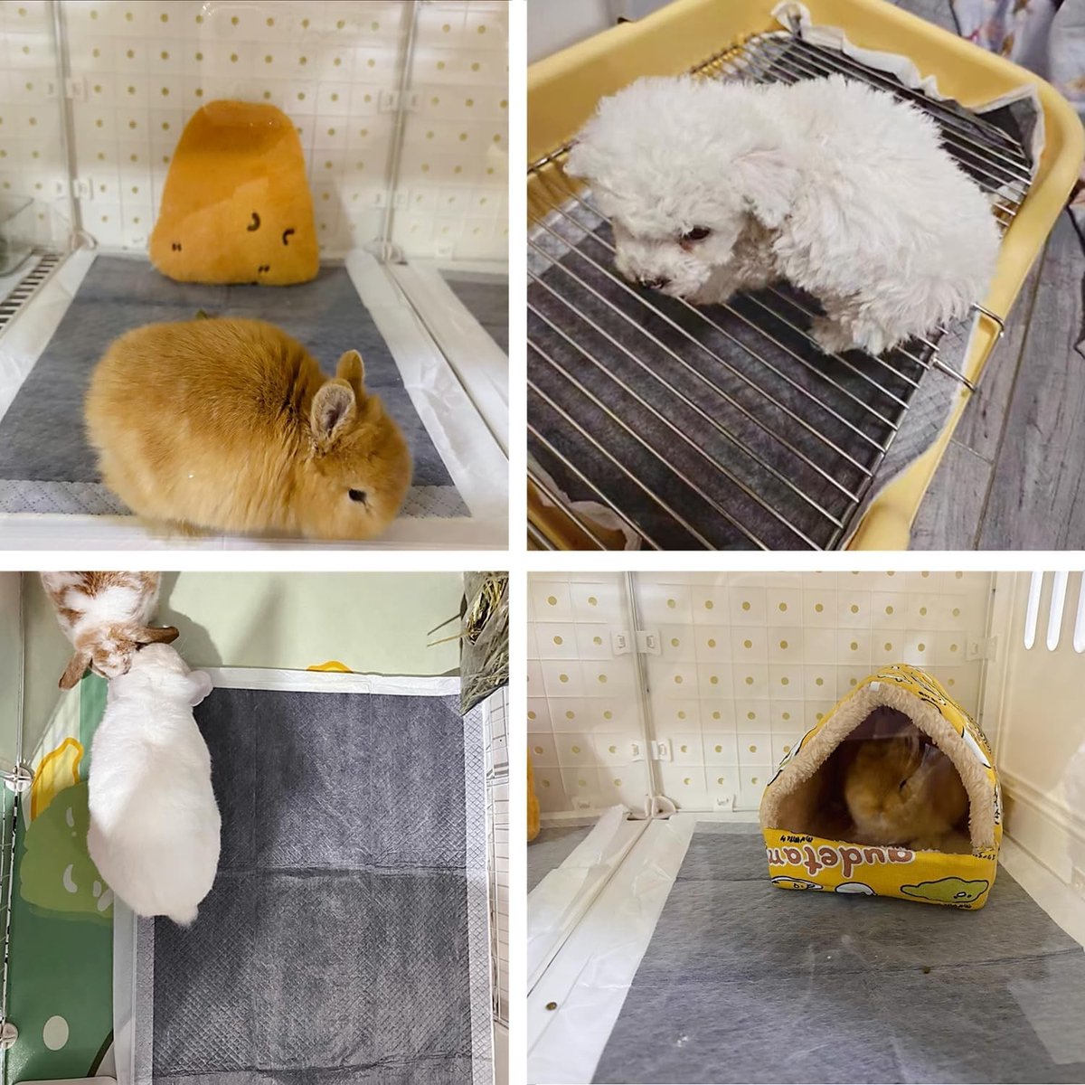 Waterdichte Wegwerp Inlegkruisjes voor Cavia's en Kleine Dieren - Absorberende Pipi Pads met Actieve Koolstof (50 stuks, 60x45 cm)