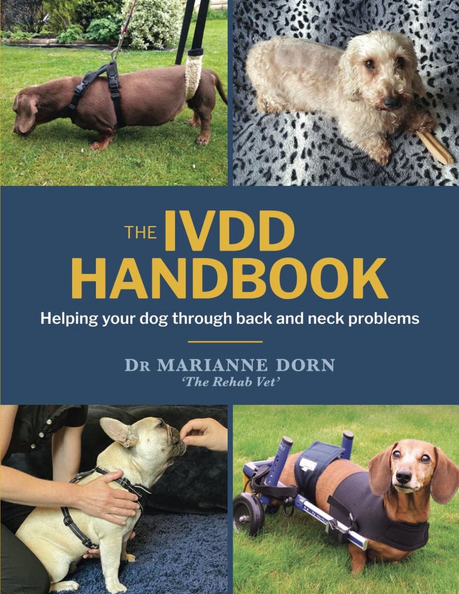 The IVDD Handbook: Helping your dog through back and neck problems - ShopVlot