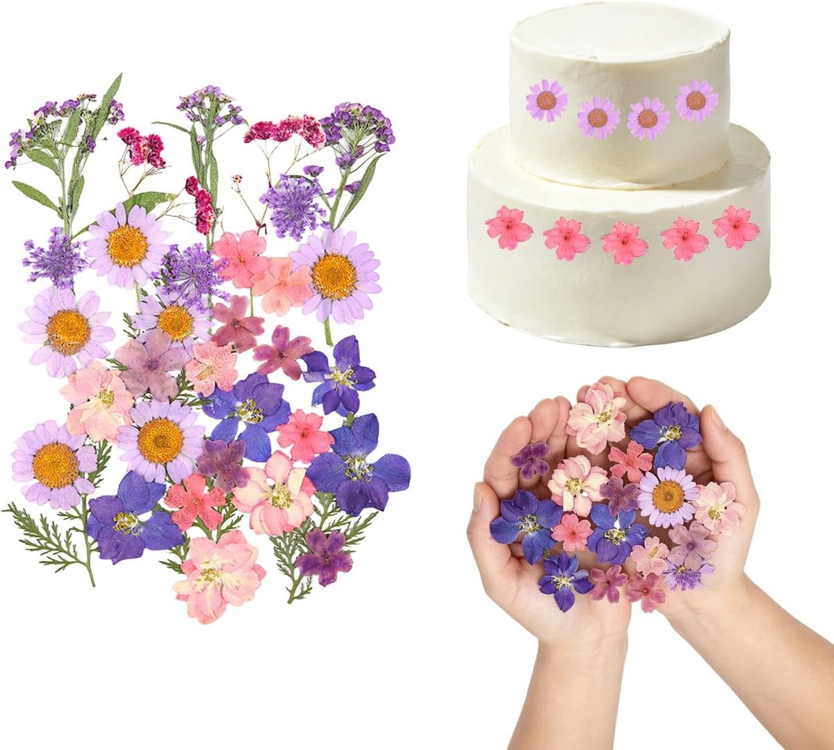 35 Stuks Gedroogde Bloemen voor Taartdecoratie, Natuurlijke Geperste Bloemen voor Gebak, Desserts en Creatieve Knutselprojecten (Paars)