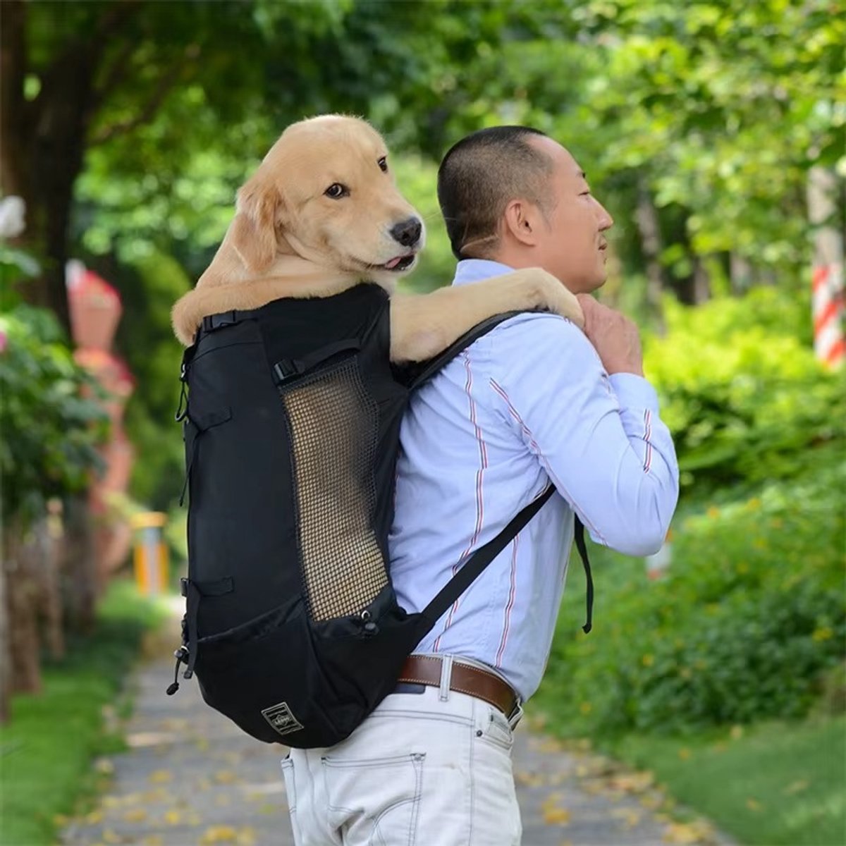 CreateEcom Hondenrugzak - honden draagtas - Rugzak hond - Draagrugzak voor huisdieren – ideaal voor reizen, fietsen en wandelen - Maat L-advise 8-18kg - Zwart