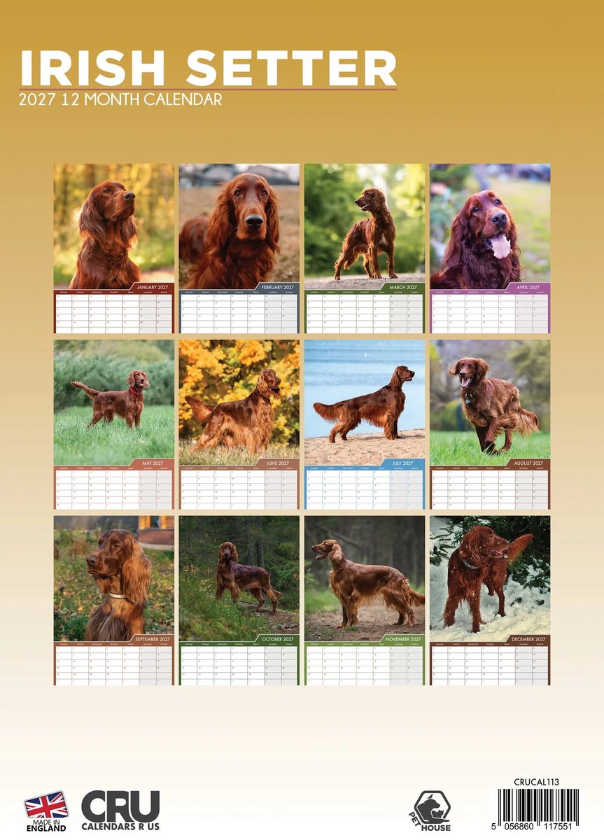 Ierse Setter A3 Kalender 2027