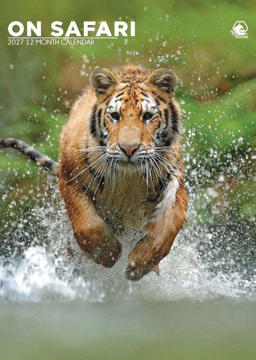 Safari A3 Kalender 2027