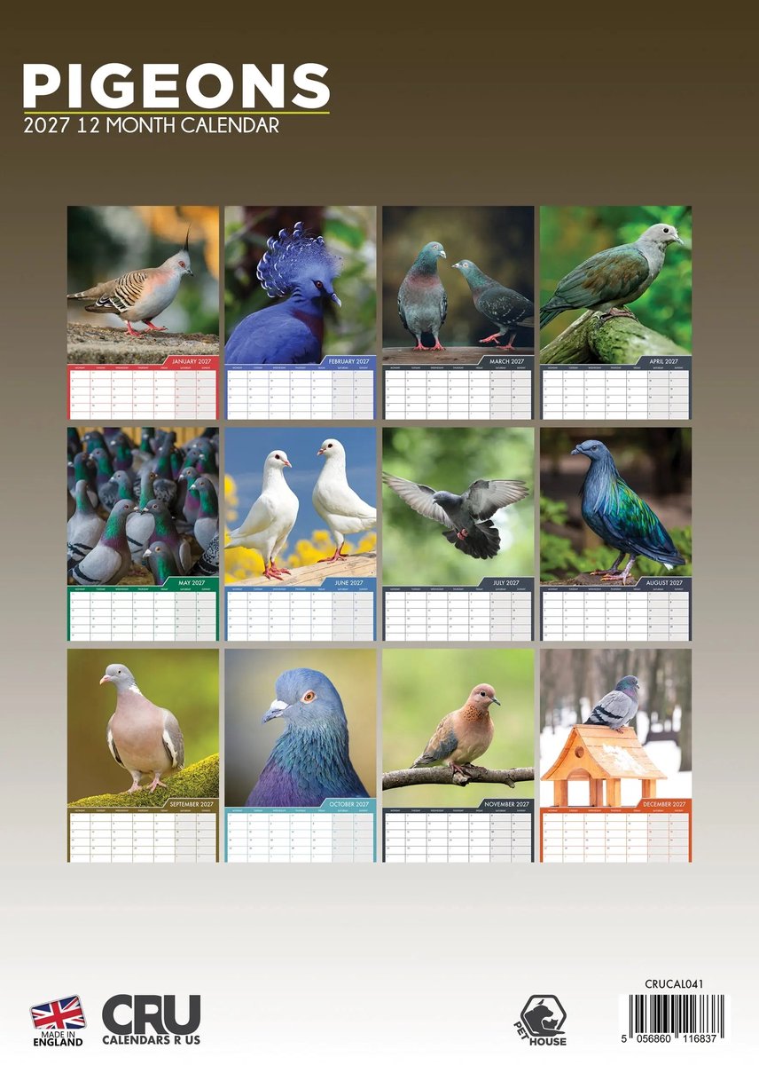 Duiven A3 Kalender 2027