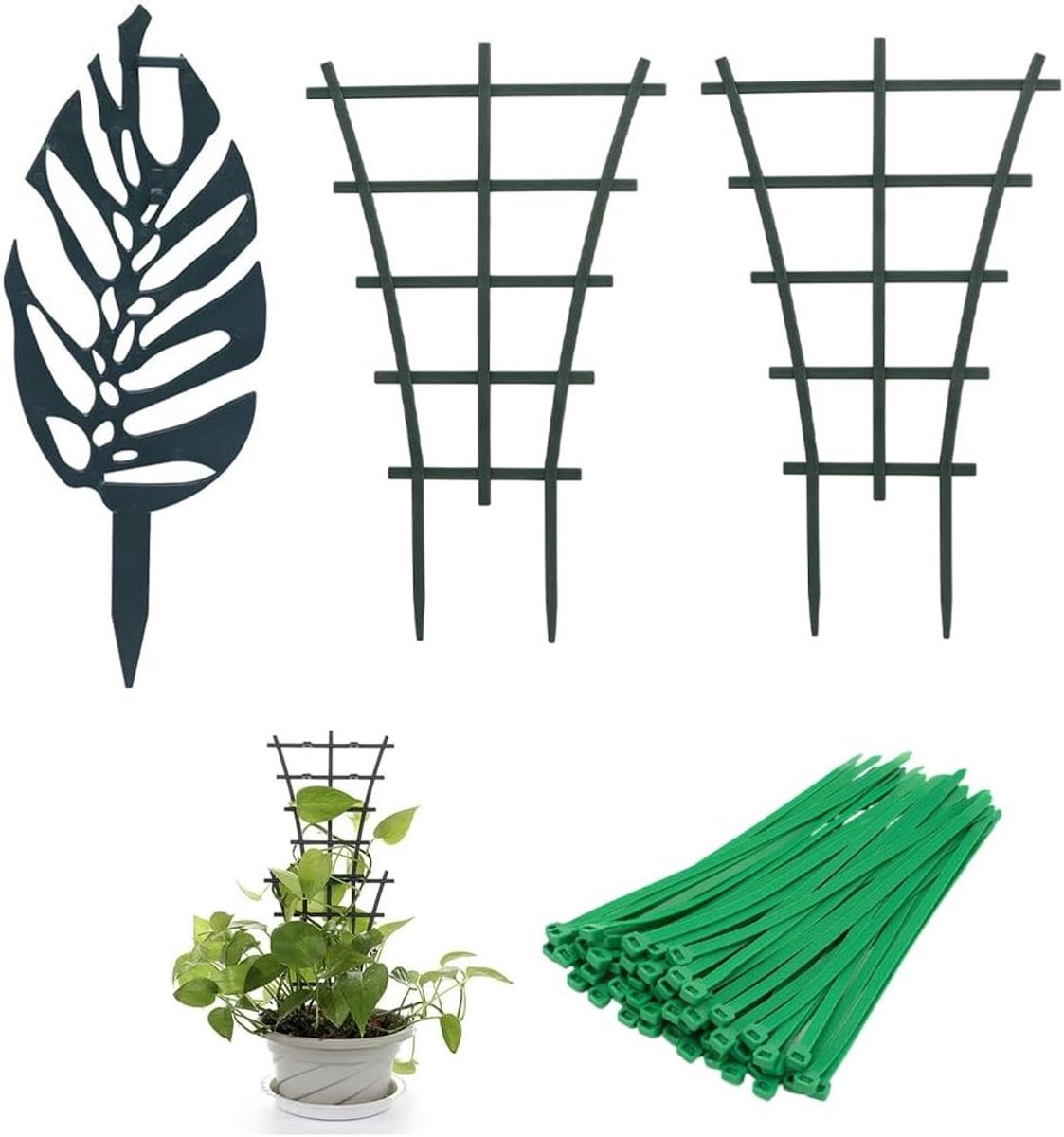3 plantsteunen en 10 bindtouwen voor klimplanten, ideale ondersteuning voor binnen- en tuinplanten, trellis en klimstructuur voor potplanten