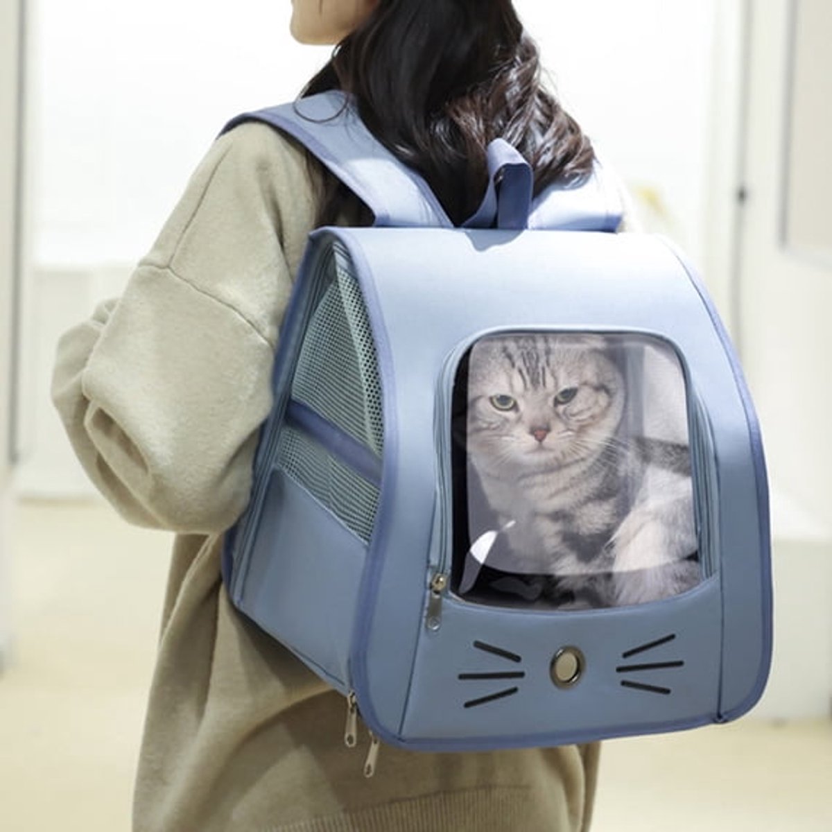 Ulisem - Huisdier Rugzak - Voor Kat En Hond - Transparant - Ademend Gaas - Grote Capaciteit - Opvouwbaar - Blauw, Polyester Draagtas Met Afneembare Schouderriem, Geschikt Voor Reizen En Wandelen Met Kleine Huisdieren