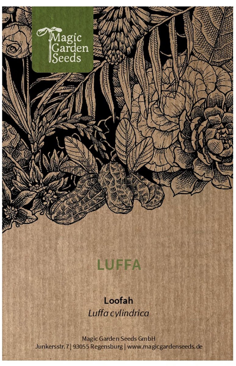 Solidchoice - Luffa (Luffa cylindrica) - ongeveer 5 zaden