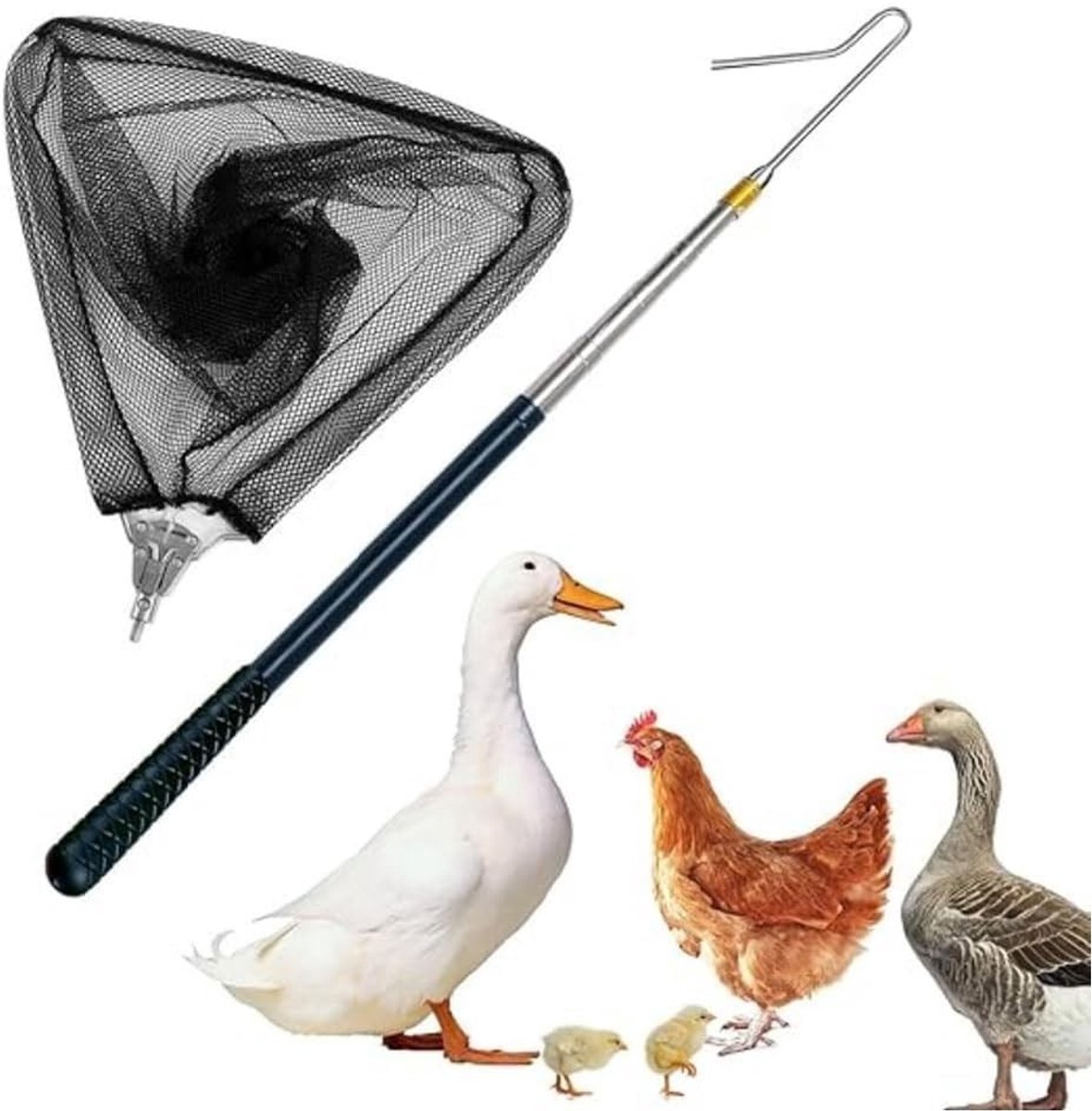 Verstelbare Kippenvanger met Veiligheidsnet Set (2-in-1), RVS Kippenhaak voor Pluimvee, Ideaal voor Kippen, Kalkoenen, Ganzen en Kleine Dieren
