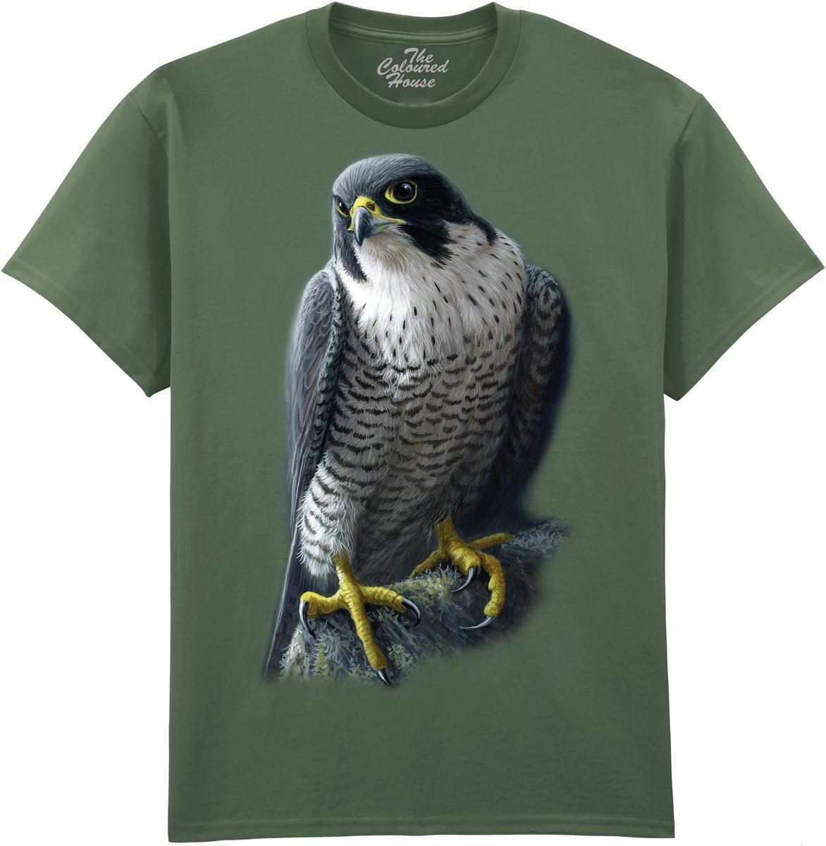 Slechtvalk Peregrine The Coloured House T-shirt 3XL
