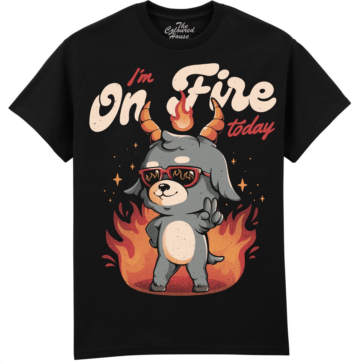 I Am On Fire Today The Coloured House T-shirt M