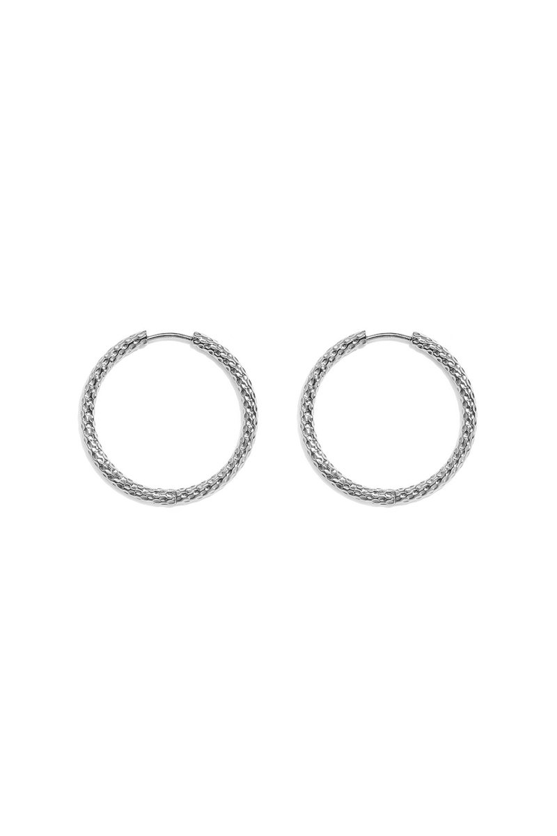 Lola - Hoops - Stainless Steel - - Goud
