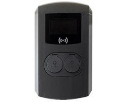 Alfen 2x22 kW Eve Double Pro-Line - Socket type 2 - Grijs