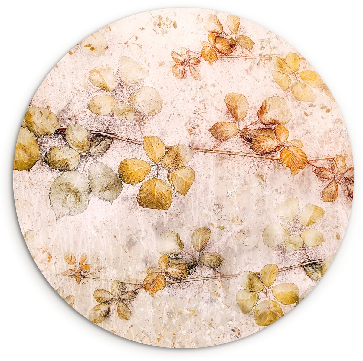 WallCircle® Wandcirkel 150x150 cm - Muurcirkel Bloemen - Bladeren - Kunst - Verf - Muurdec