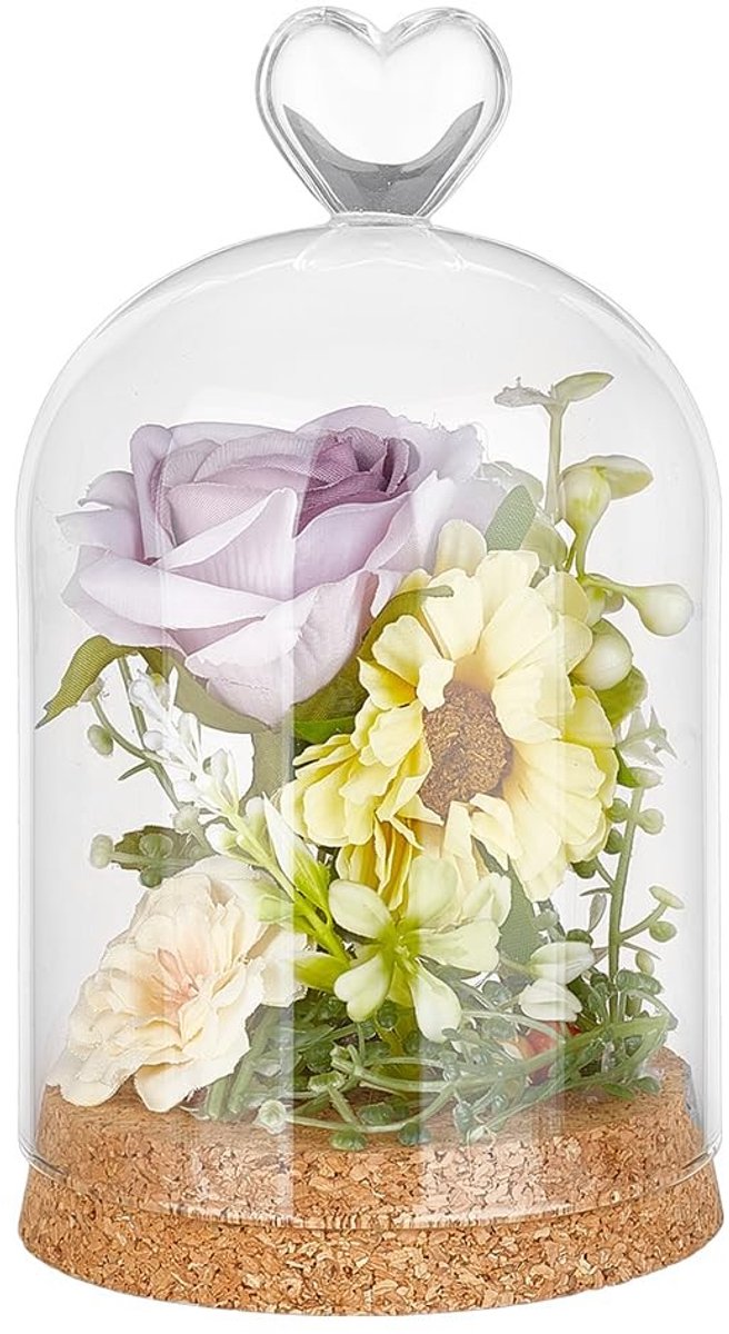 Dailygoods- Glazen Display Dome 16,4x9,1cm - Decoratieve Koepel - Kurk Basis - Huisdecoratie - Bloemen/Modellen Tentoonstelling - Elegant Ontwerp - Cloche