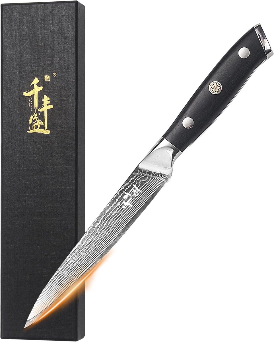 SnelShoppen - Damascus Keukenmes 14 cm Schilmesje VG10 Roestvrijstalen 67-laags Gesmeed Mes, Perfect voor Schillen, Snijden en Trimmen