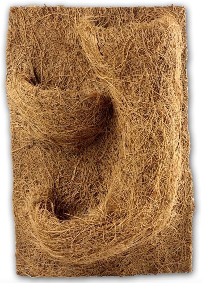 SnelShoppen - Natural Plant Backdrop voor Terrarium 20x30 cm - 100% Kokosvezels - Planten Achtergrond voor Kleine Reptielen - Klimgemak en Natuurlijke