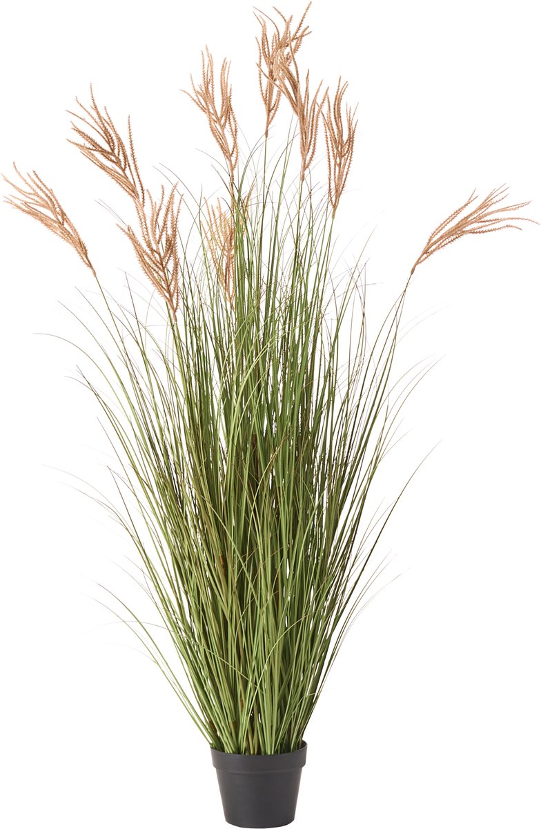 Beliani CLAW FLOWER - Kunstplant - Groen/Bruin - 150 cm - Synthetisch