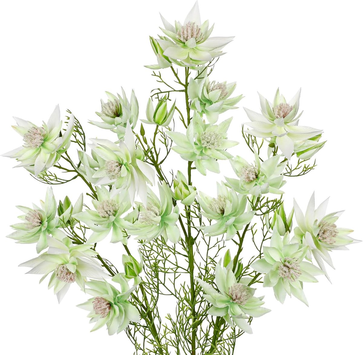 SnelShoppen - 3 Stuks 66 cm Lange Nepbloemen Serruria Florida Zijde Faux Bloemen Lange Stelen voor Bloemstukken Witte Groene Nepbloemen voor Thuisdeco