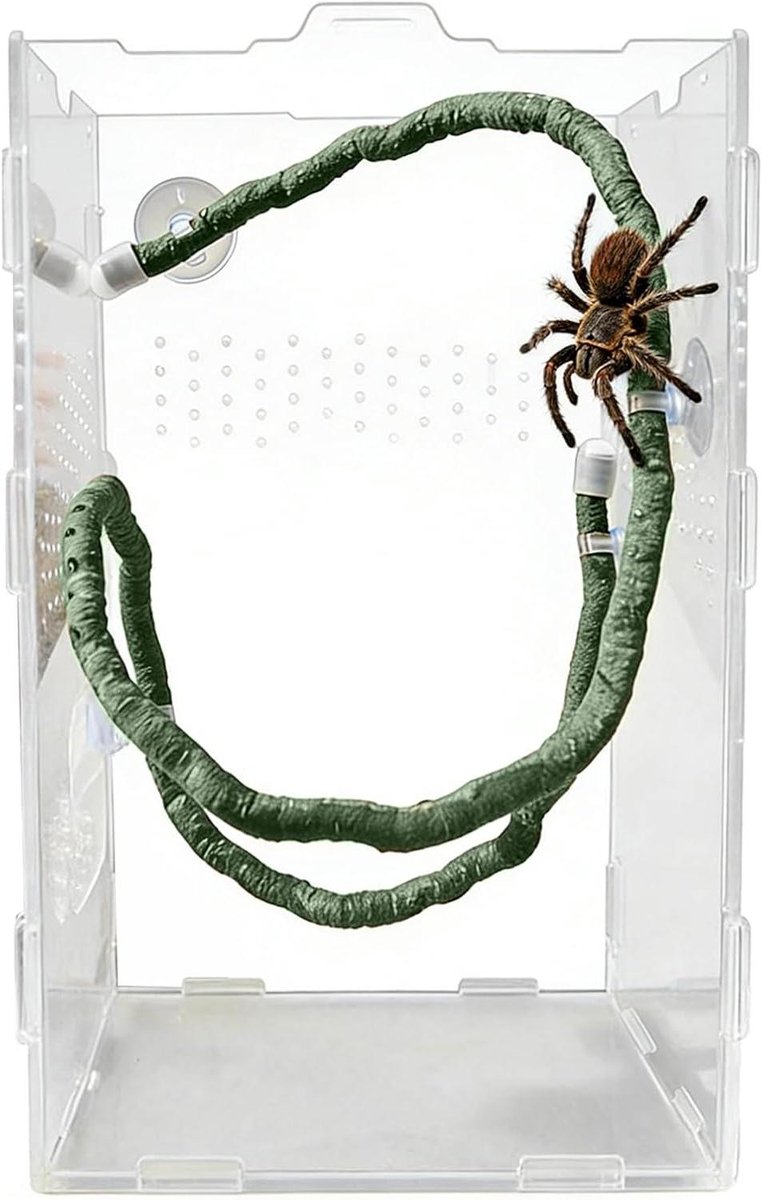 Klimranken Reptielen Terrarium - Kunstmatige Lianen Habitatdecoratie - Verrijking Verblijf - Buigbaar Met Zuignappen - 100 cm Lengte - Groen