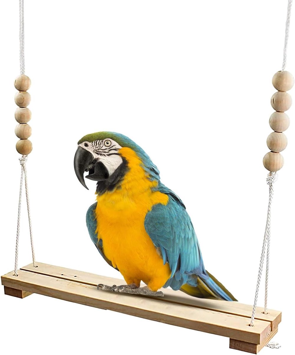Kippenschommel Speelgoed - Gevogelte Speelset - Actieve Kip - Instelbare Hoogte - 395 x 7 x 110 cm - Multicolor