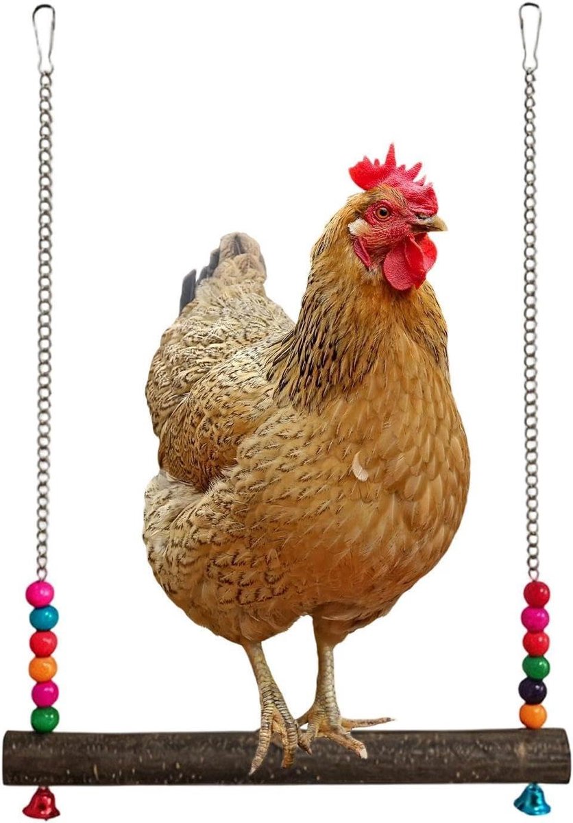 Kippenschommel Speeltuin - Vogelhuisje Accessoire - Gedrag Stimuleren - Met Bel - 30 cm Lengte - Natuurlijk Hout