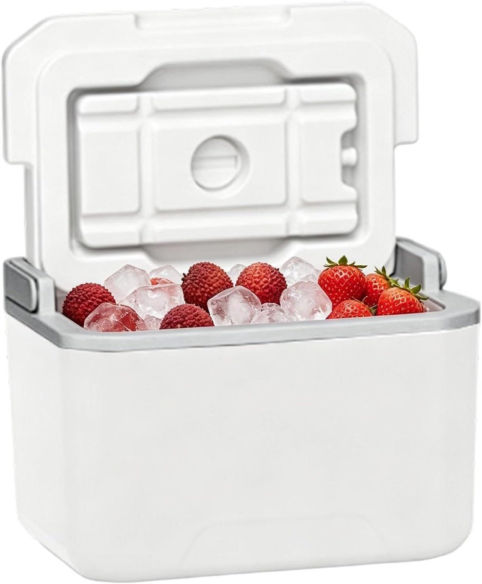 Camping Koelbox - Draagbare Koeler - Outdoor Avonturen - Lekvrij Ontwerp - 5 liter - Enkele Attribuut