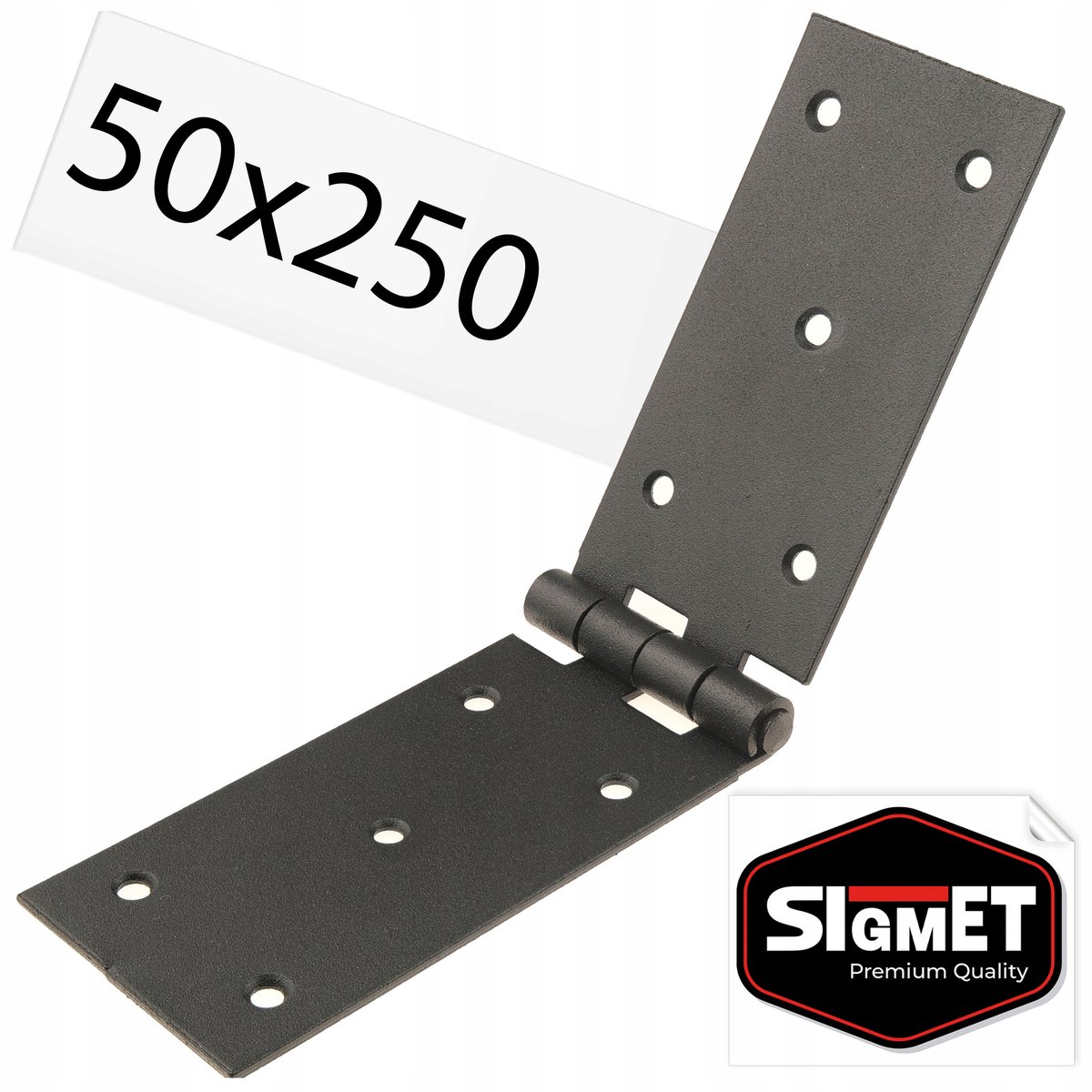Bouwscharnier 50x250 mm Zwart voor Poort & Deur