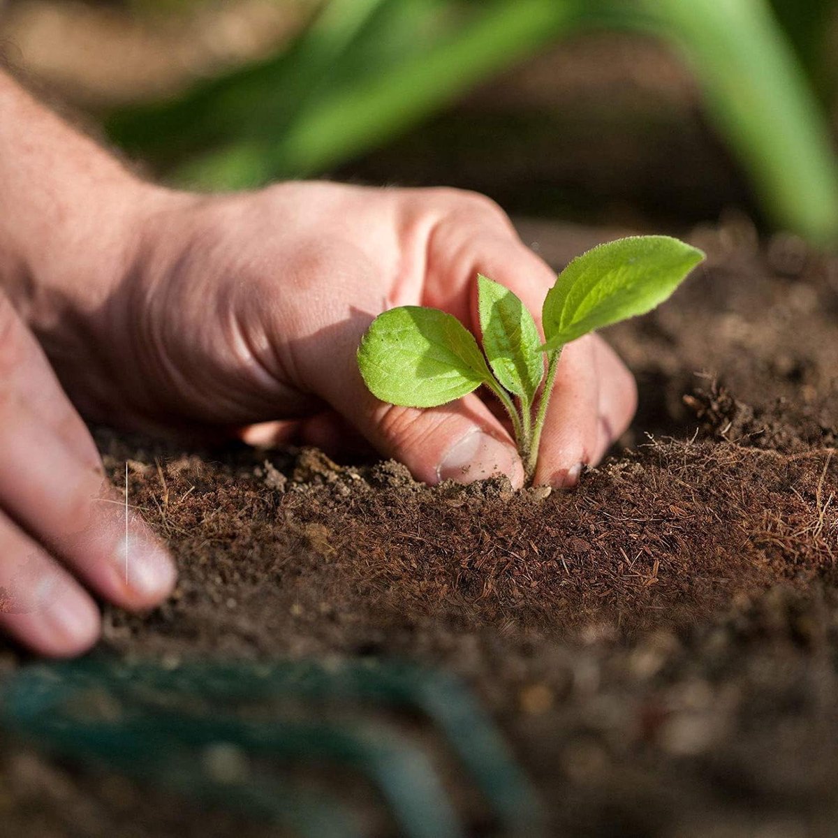 Biologische Aarde - Potgrond Kokosvezel - Planten Verzorgen - 100% Natuurlijk - 60 Liter - Bruin