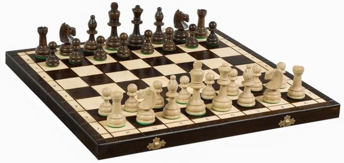 Schaakspel Set - Traditioneel Schaken - Strategie Spel - Handbeschilderd - 42 x 42 cm - Zwart Wit