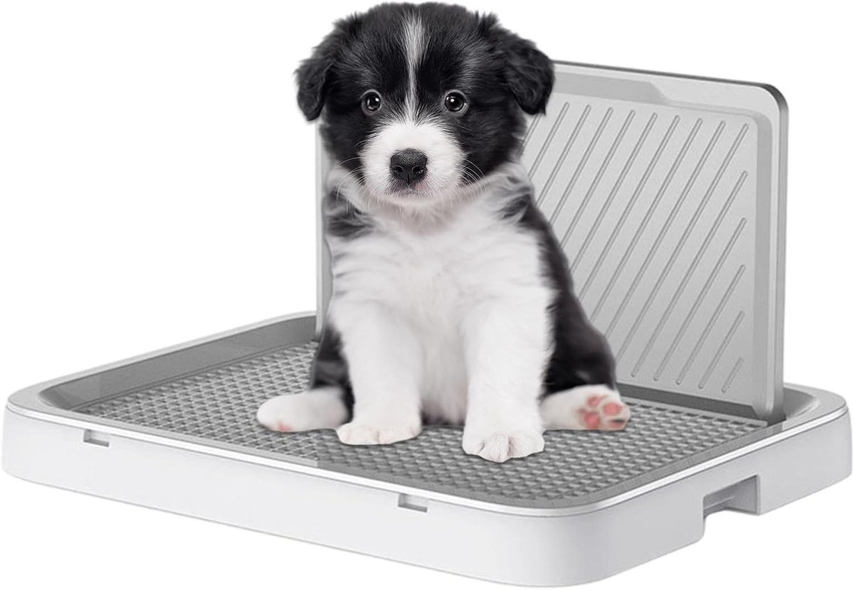 Hondentoilet Puppy - Pee Pad Houder - Huiszuiverheidstraining - Antislip Lekvrij - 52x40x3 cm - Grijs