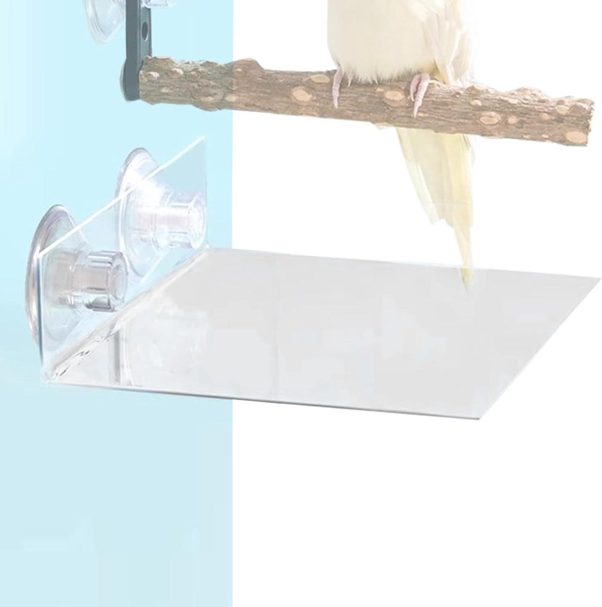 Vogelvoederhuisje - Voerdispenser raam - Vogels voeren - Transparante acryl bak - 21 x 21 x 3 cm - Transparant