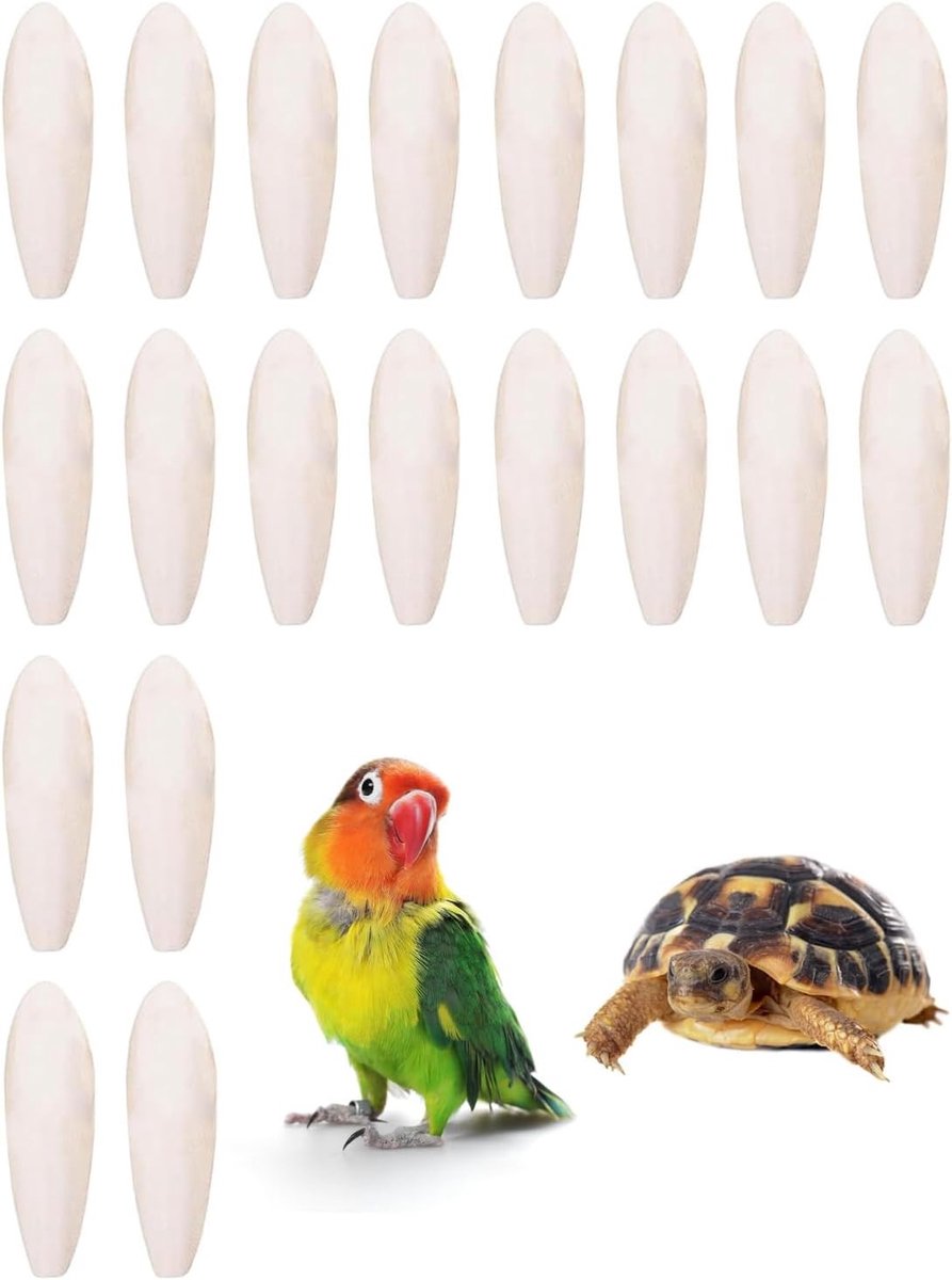 20 Stuks Sepia Butts voor Papegaaien, Kauwspeelgoed voor Vogels, Reptielen en Schildpadden, Inclusief Metalen Stand, 4-5 cm