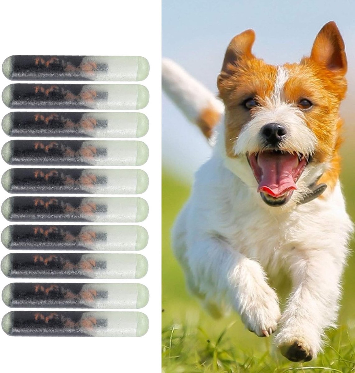 Microchip voor Honden, 10 Stuks Set van 2.1mm Glazen Dierenchip Implants voor Identificatie en Registratie