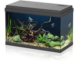 Glazen aquarium voor tropische vissen, 60 liter, compleet met accessoires en LED-verlichting