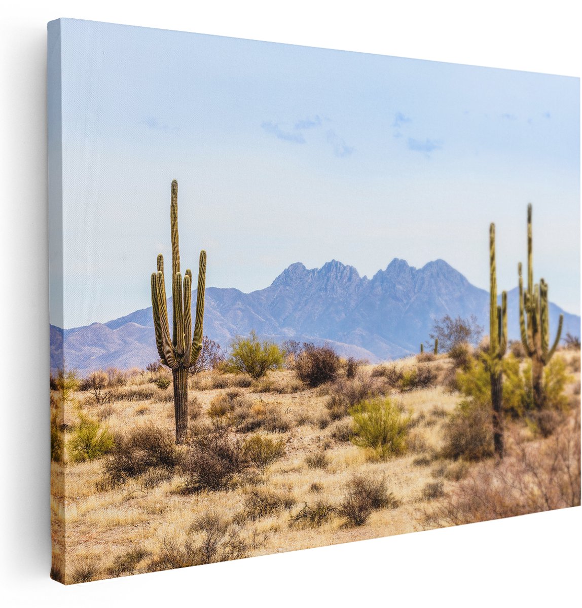 Artaza Canvas Schilderij Cactussen in de Woestijn - 160x120 cm - Groot - Wanddecoratie Woonkamer - Schilderijen - Muurdecoratie