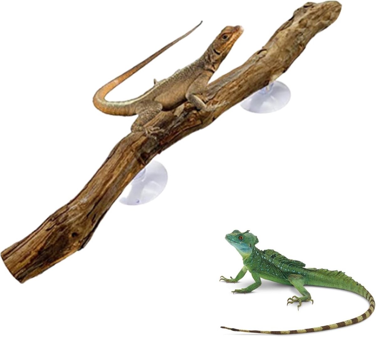 Natuurlijke Tak voor Reptielen, Klimgedeelte voor Terrarium, Decoratie met Zuignap voor Slangen, Hagedissen en Leopard Gecko