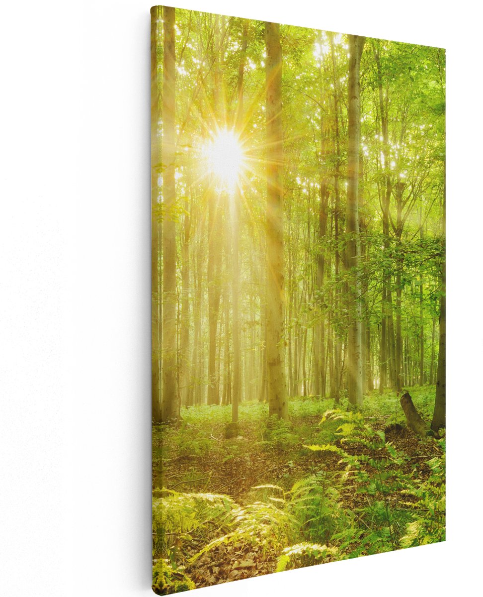 Artaza Canvas Schilderij Groen Bos Met Schijnende Zonnestralen - 120x180 cm - Groot - Wanddecoratie Woonkamer - Schilderijen - Muurdecoratie