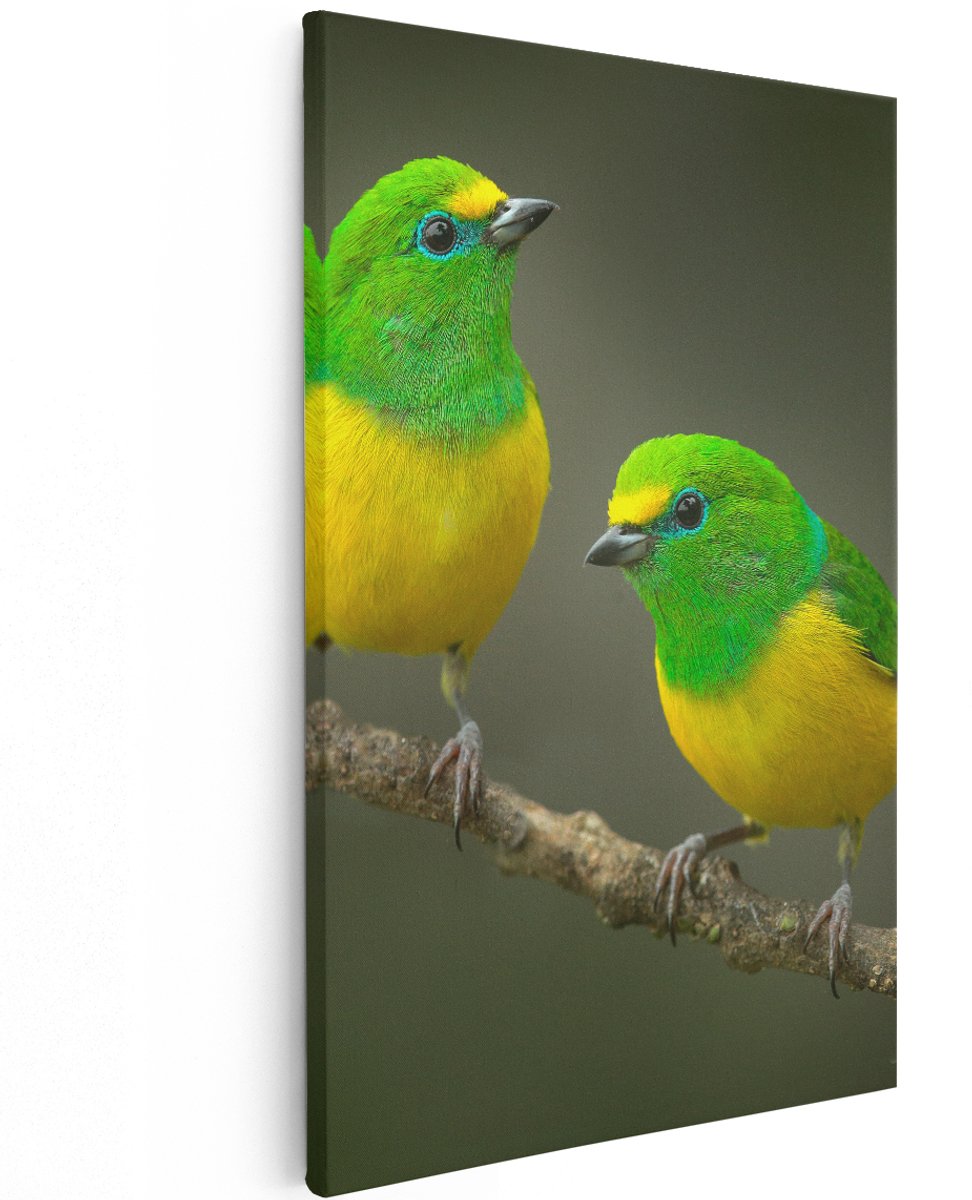 Artaza Canvas Schilderij Twee Groen Gele Zangvogels Op Een Tak - 120x180 cm - Groot - Wanddecoratie Woonkamer - Schilderijen - Muurdecoratie