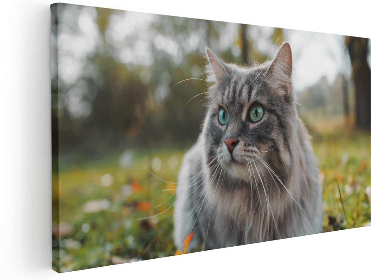 Artaza Canvas Schilderij Kat Met Groene Ogen Op Het Gras - 180x90 cm - Groot - Wanddecoratie Woonkamer - Schilderijen - Muurdecoratie