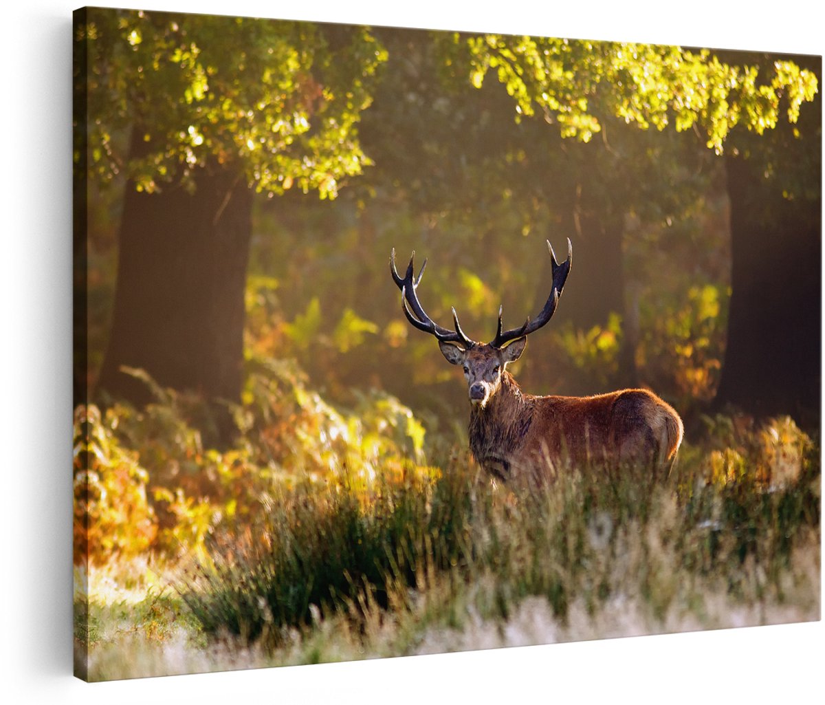 Artaza Canvas Schilderij Hert in de Bossen - 180x120 cm - Groot - Wanddecoratie Woonkamer - Schilderijen - Muurdecoratie