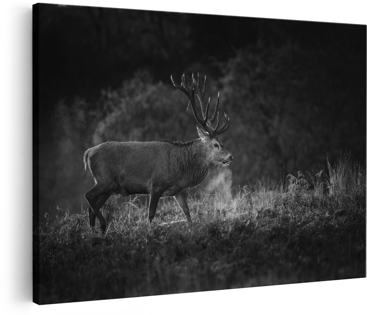 Artaza Canvas Schilderij Hert in het Gras met Mist - Zwart Wit - 150x100 cm - Groot - Foto Op Canvas - Wanddecoratie Woonkamer