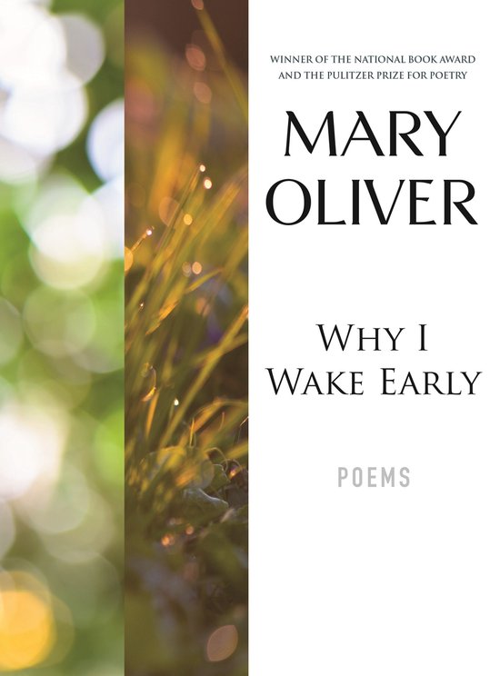 Livre "Why I Wake Early" de Mary Oliver, poème avec des gouttes de rosée sur l'herbe.