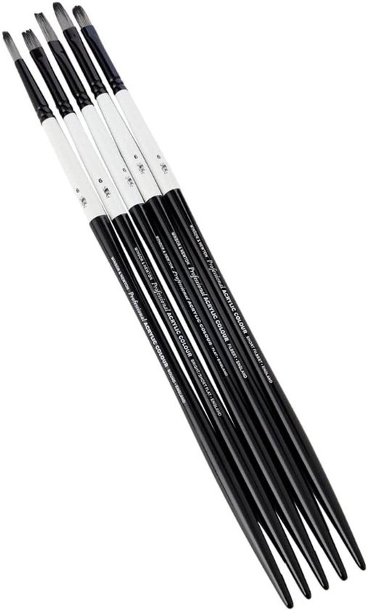 Professionele Acrylborstels Set Langsteel 5-delig