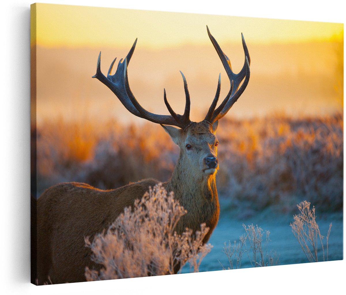 Artaza Canvas Schilderij Hert tijdens de Zonsondergang - 150x100 cm - Groot - Foto Op Canvas - Wanddecoratie Woonkamer