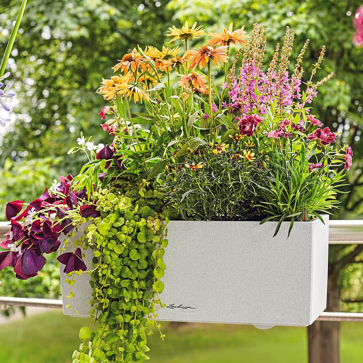 Lechuza Balconera Stone 50 - Planter - removable inner pot