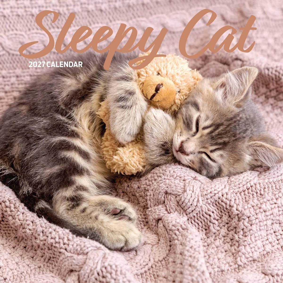 Sleepy Cat Kalender 2027
